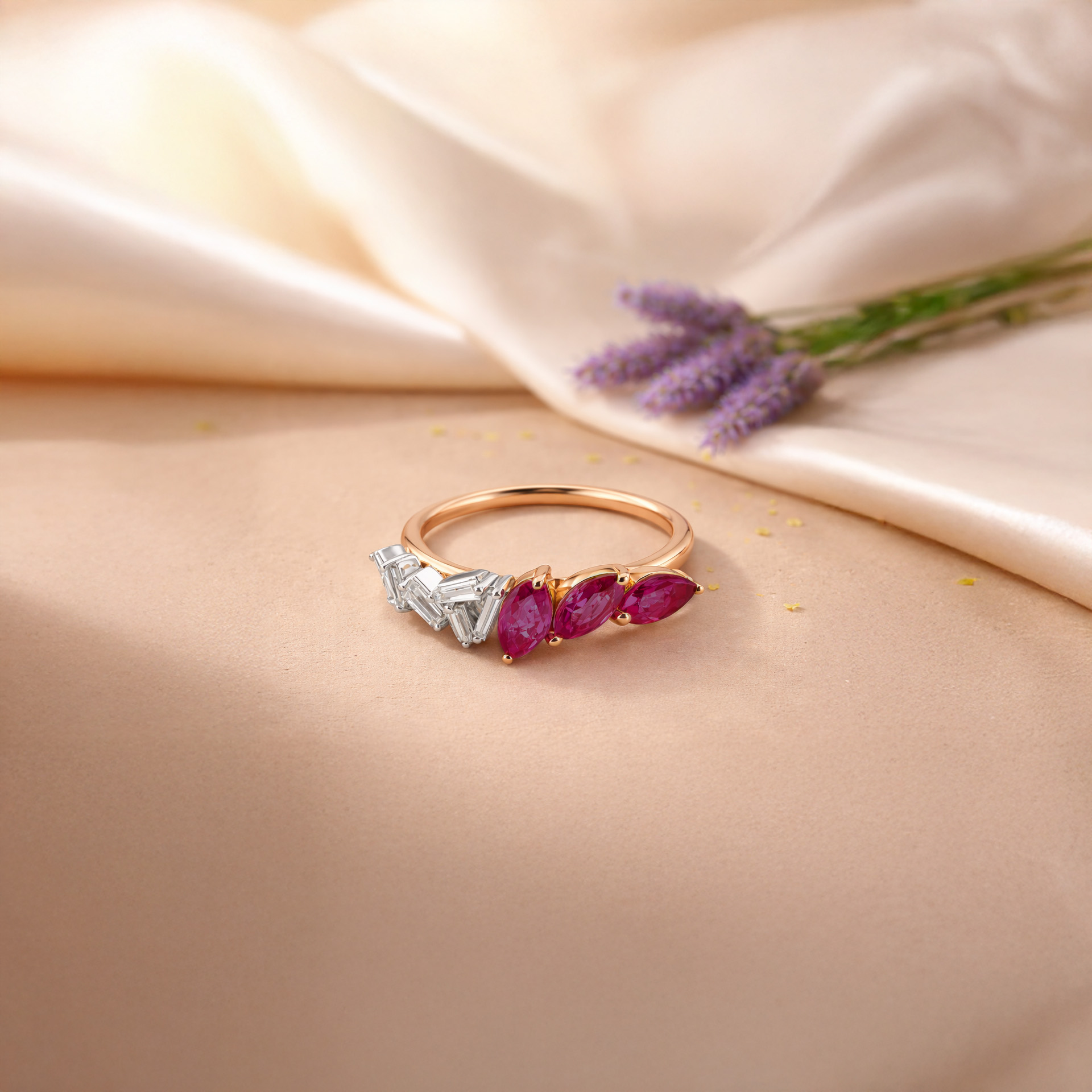 Discover Our Collection